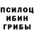 Галлюциногенные грибы мицелий Tata 1801