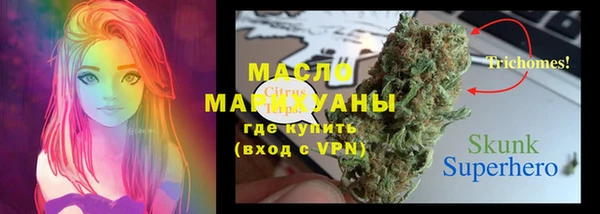 прущий лед Новозыбков