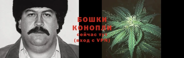 прущий лед Новозыбков