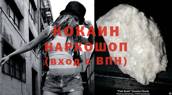 прущий лед Новозыбков