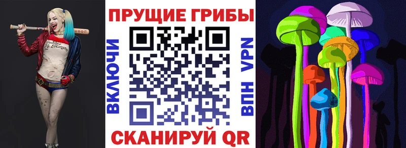 Псилоцибиновые грибы прущие грибы  магазин продажи   Уяр 